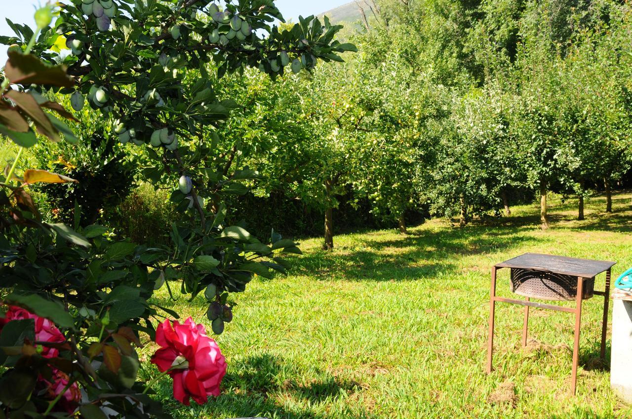 Guest House Markovic Budva Bagian luar foto